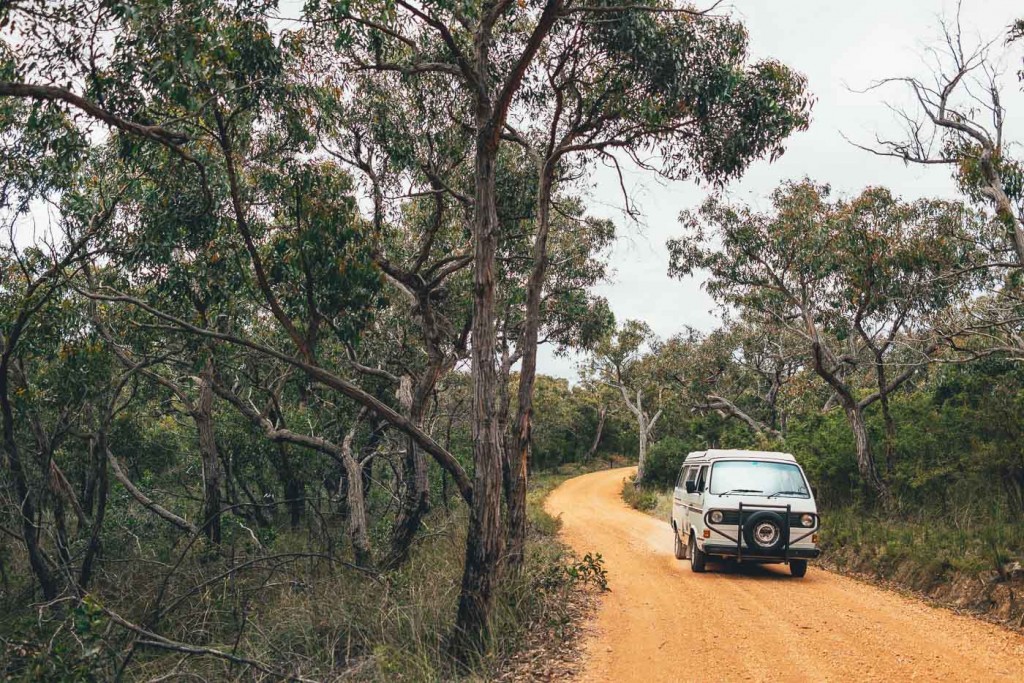 Will and Bear Volkswagen Van driving down Australian Dirt Road. Photo by Sony Ambassador Stefan Haworth