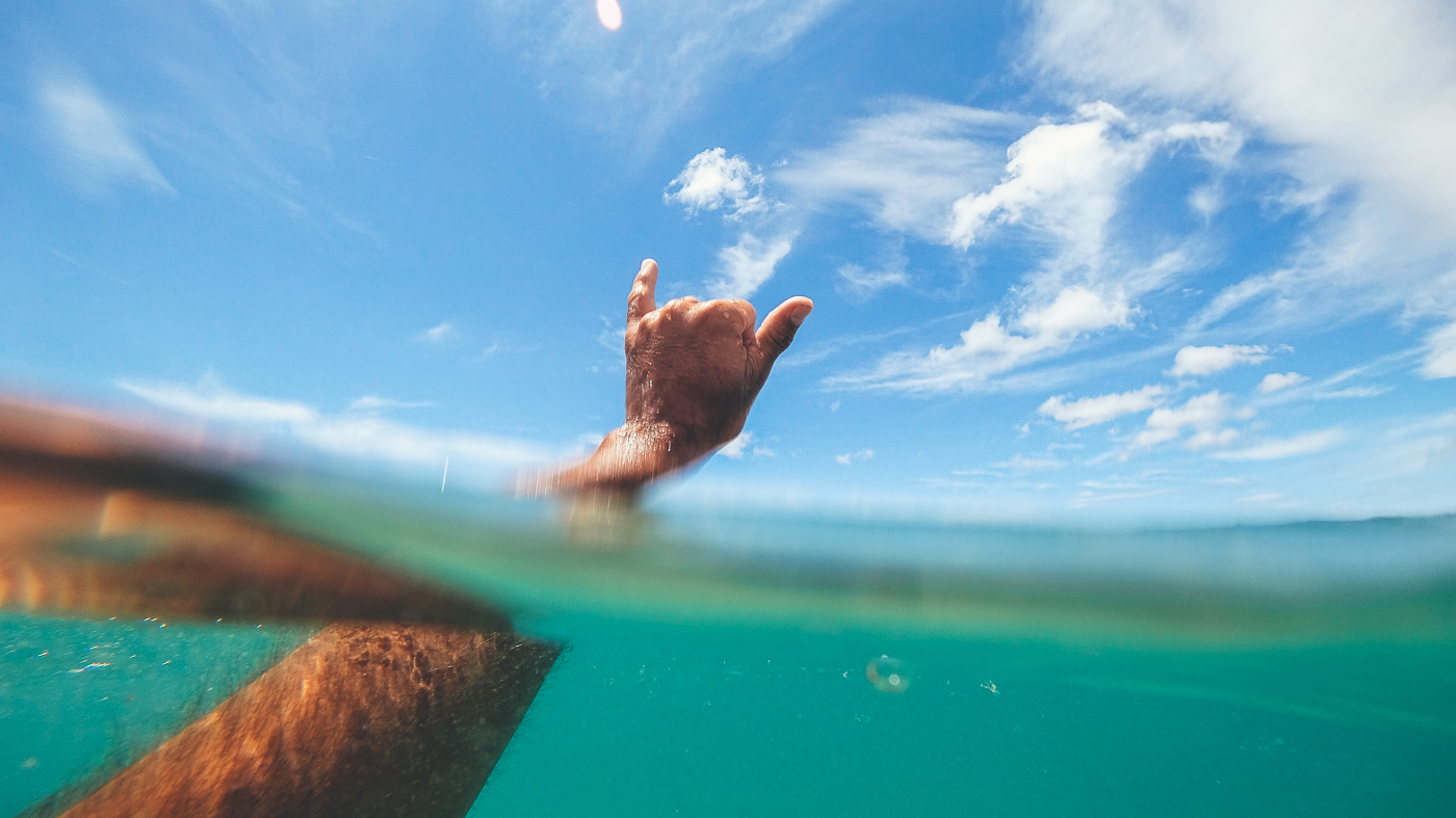 Shakkas at Great Barrier Island in New Zealand. Photo by Sony Ambassador Stefan Haworth