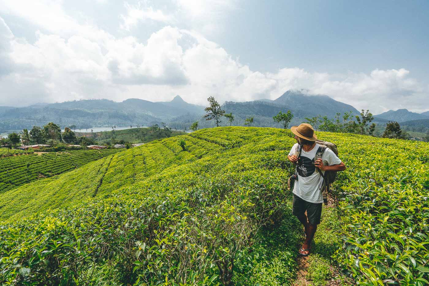 Sony Ambassador Stefan Haworth walking through tea plantations of Sri Lanka