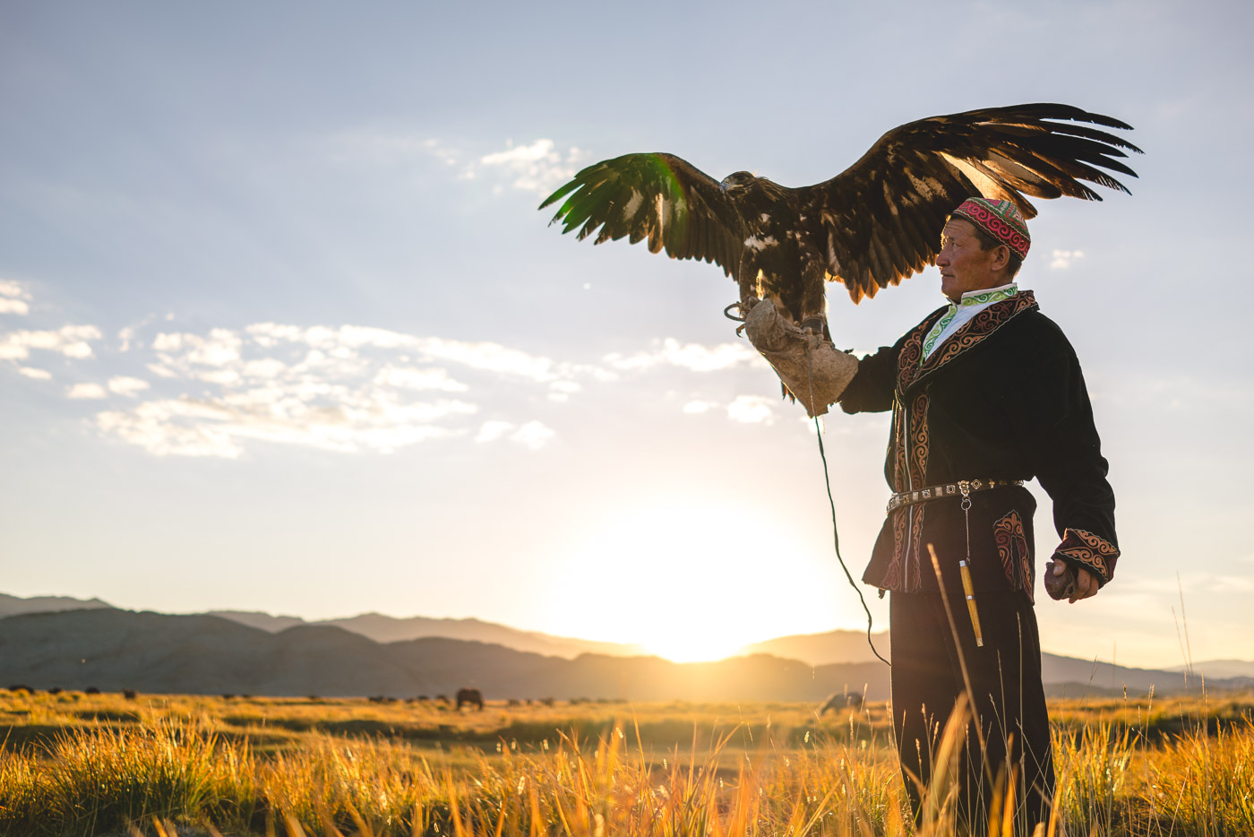 Kazakh eagle Hunter holding the eagle in Mongolia