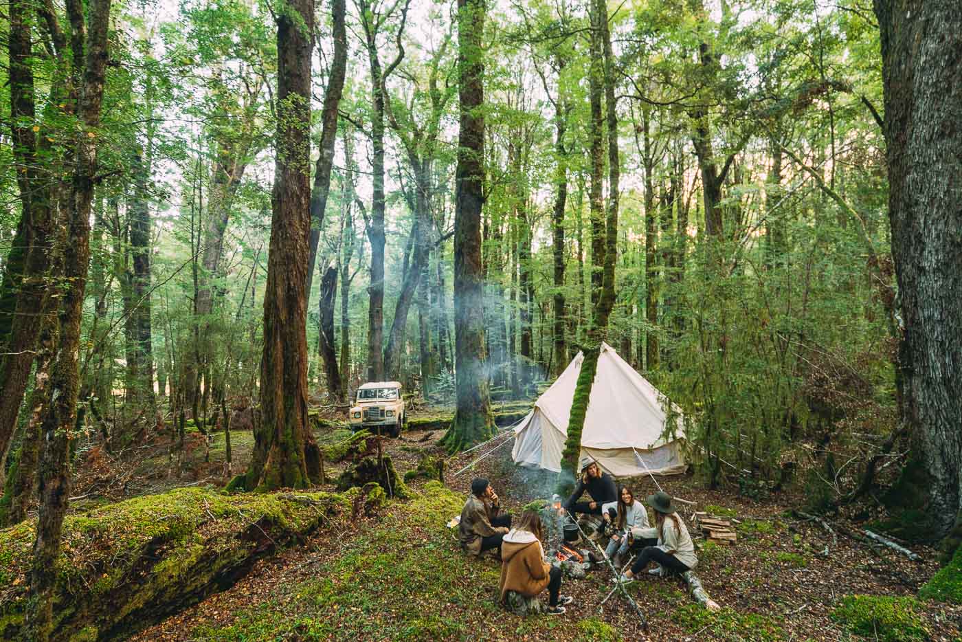 Camping in the Ancient forest of New Zealand