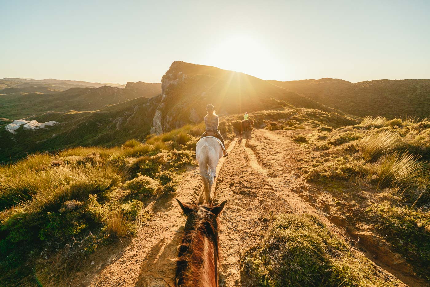 Sunset views with Cape Farewell Horse Treks