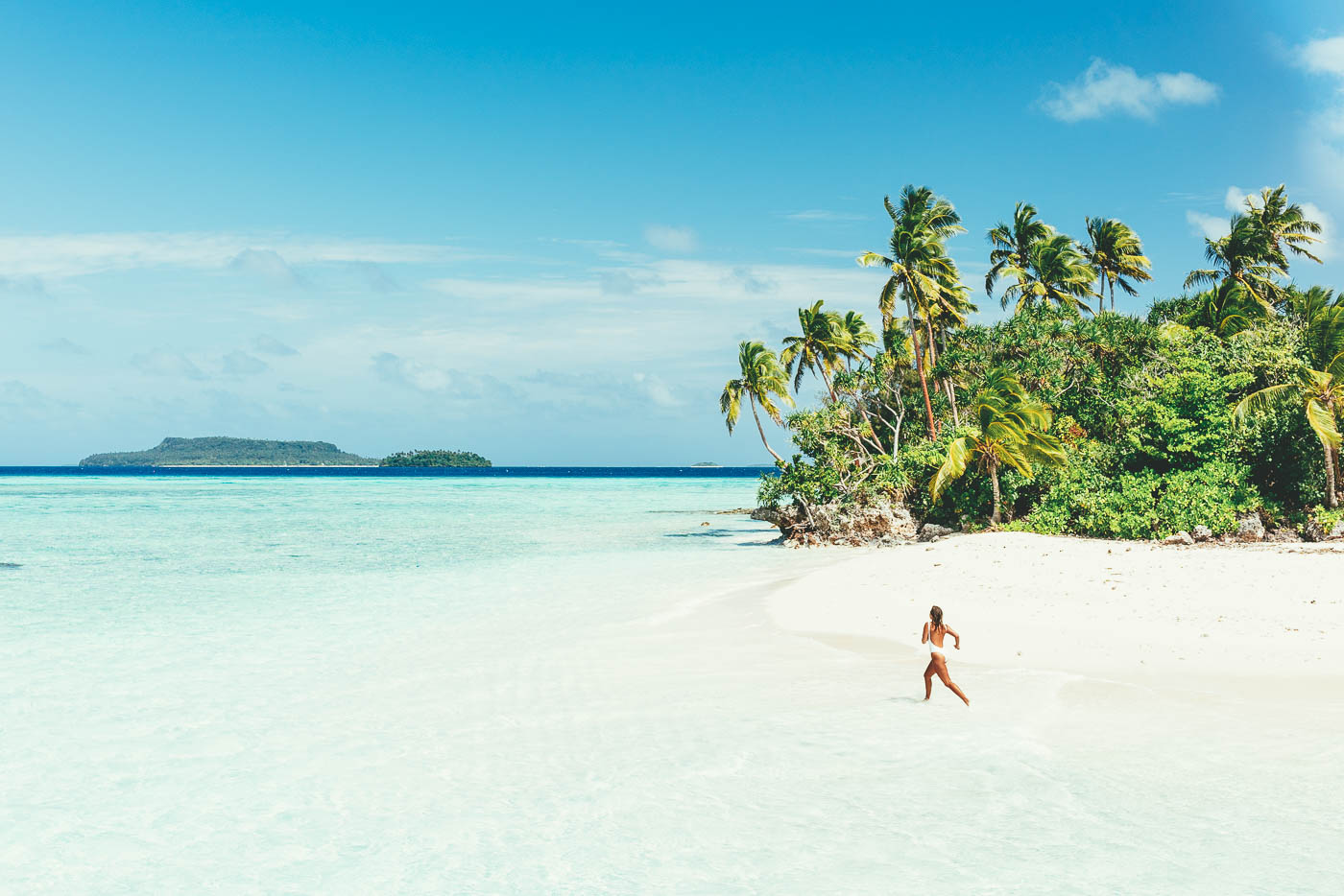 chick running on white sand beaches of Vava'u Tonga