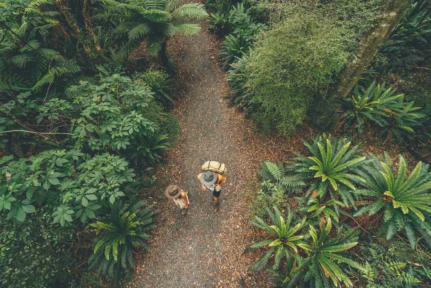 Couple walking through New Zealand's forest