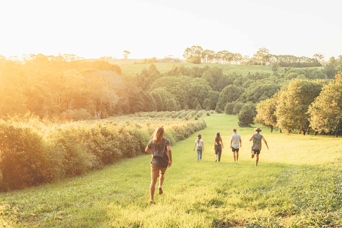 group of friends walking through orchard at Byron Bay, Australia