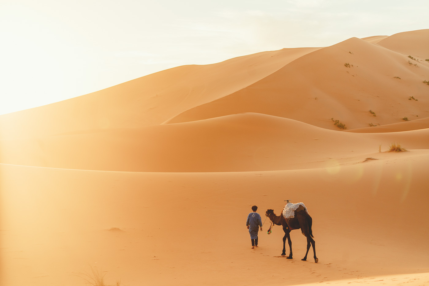 Camel ride with KamKam Dunes nomadic Sahara Desert, Morocco.