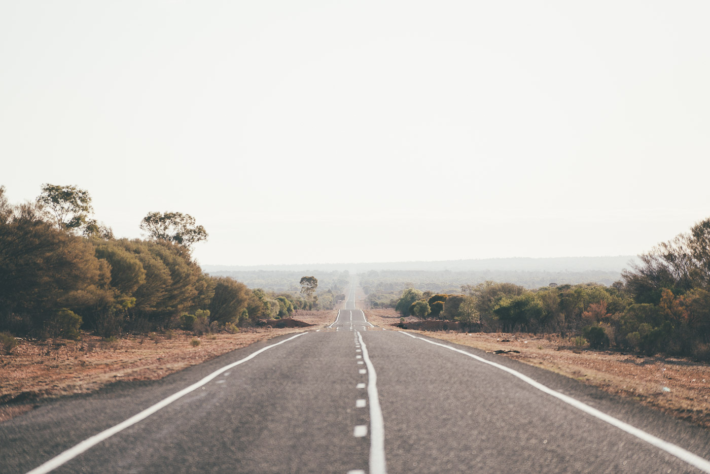 Long roads in South Australia with Will and Bear