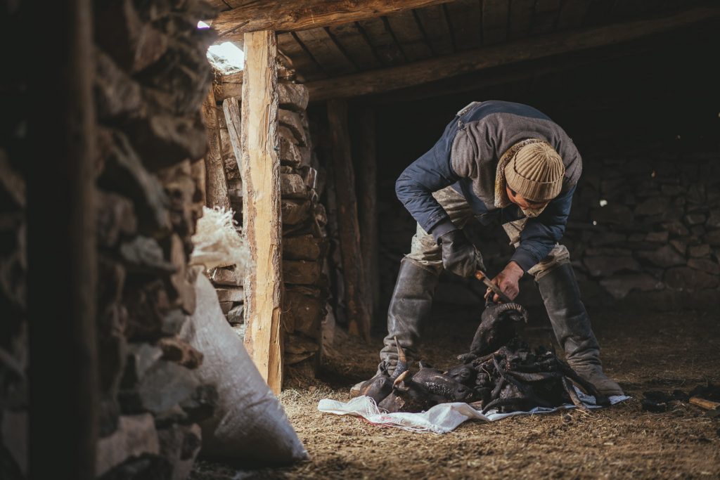 Mongolian farmer preparing the Goats heads for the winter meat harvest in western Mongolia. Captured by adventure photographer Stefan Haworth