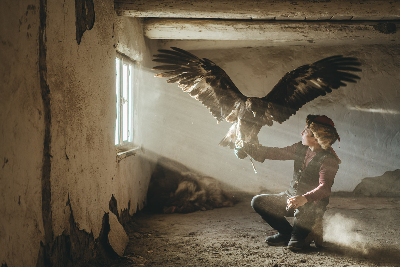 Eagle with full wingspan on Kazakh Eagle hunters arm with light rays through the dust. Captured by Sony Ambassador and adventure photographer Stefan Haworth