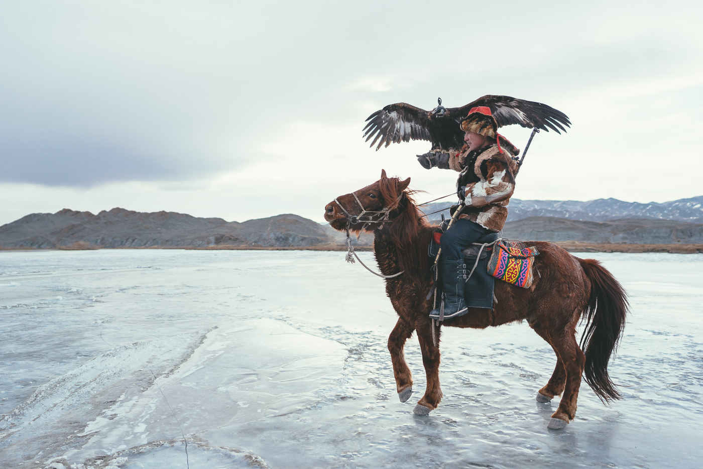 Kazakh Eagle Hunter on horseback with Eagle in Hand crossing over a frozen river in the mountains of western Mongolia. Captured by adventure photographer Stefan Haworth