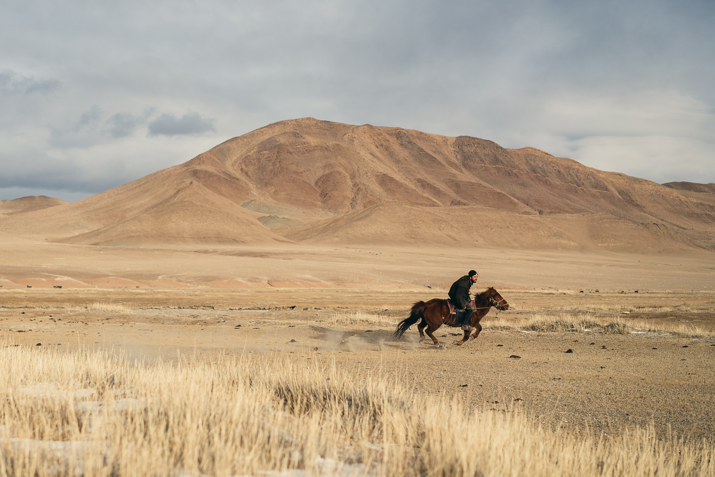 Adventure photographer Stefan Haworth on horseback galloping across the Mongolian steep.