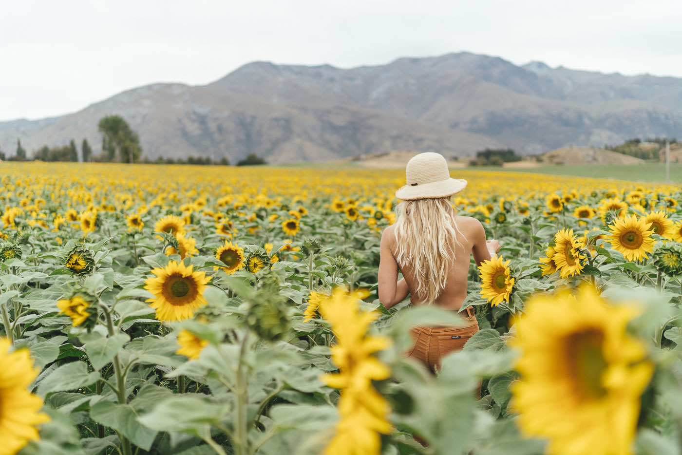 Jade Barclay in a field of sunflowers in Queenstown, New Zealand. Captured by Sony Ambassador and Photographer Stefan Haworth