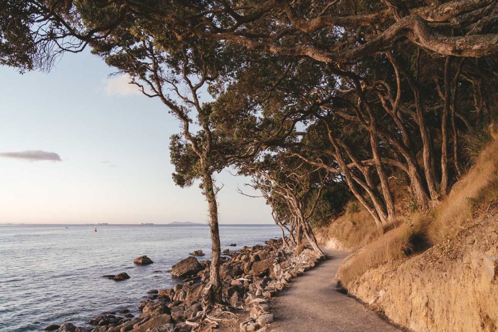 Seaside walkway around Mount Maunganui. Captured by Stefan Haworth