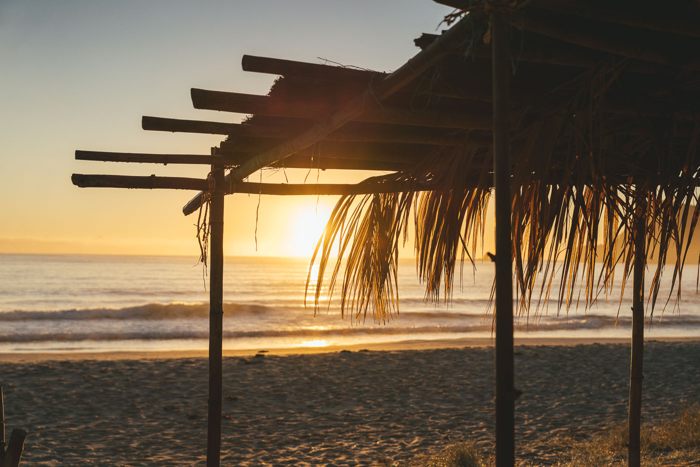 sun rising through the palm tree cabana of Great barrier Island