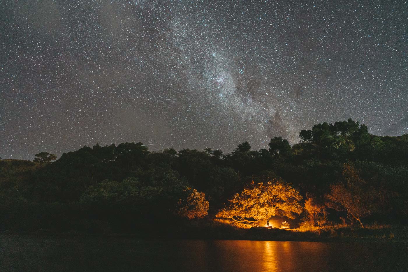 Reflection of a Campfire under giant Pohutukawa with the starry night sky on the East Cape Road trip of New Zealand