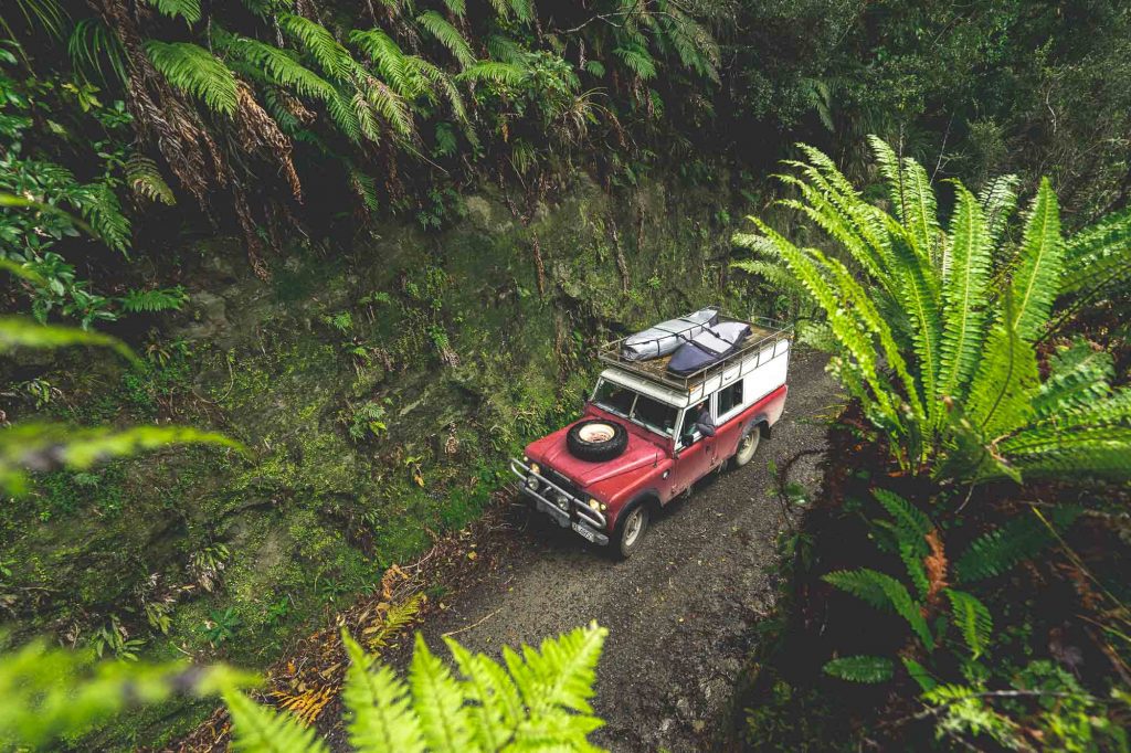 Land Rover defender driving through native New Zealand forest