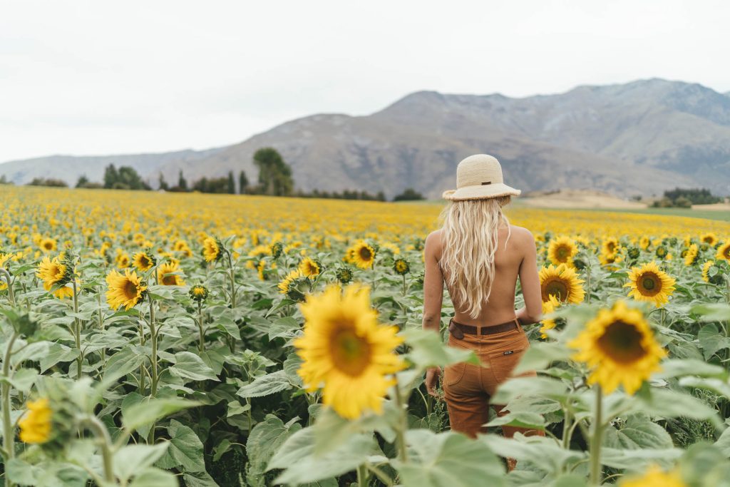 Jade in Sunflower field in Queenstown for Will and Bear, New Zealand