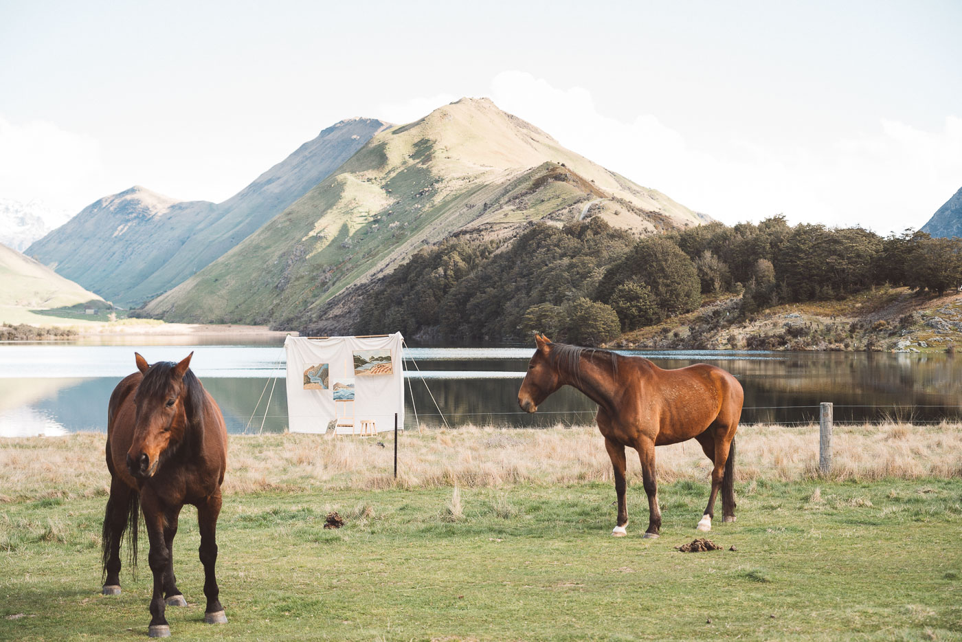 Jade Barclay Painting Collection in Queenstown. Photographed by Stefan Haworth Photography