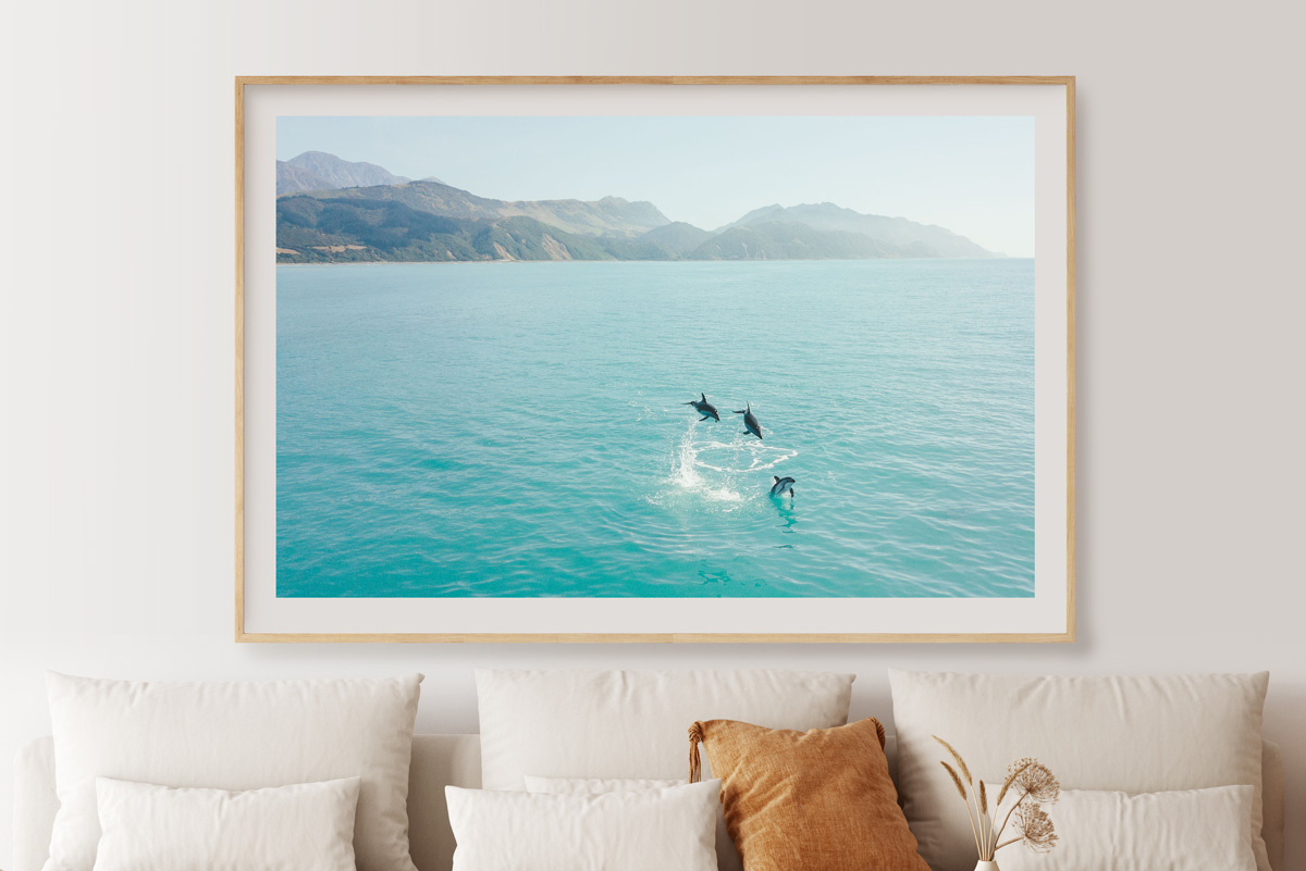 Lounge containing Stefan Haworth's Photography print "Dolphin Jump"