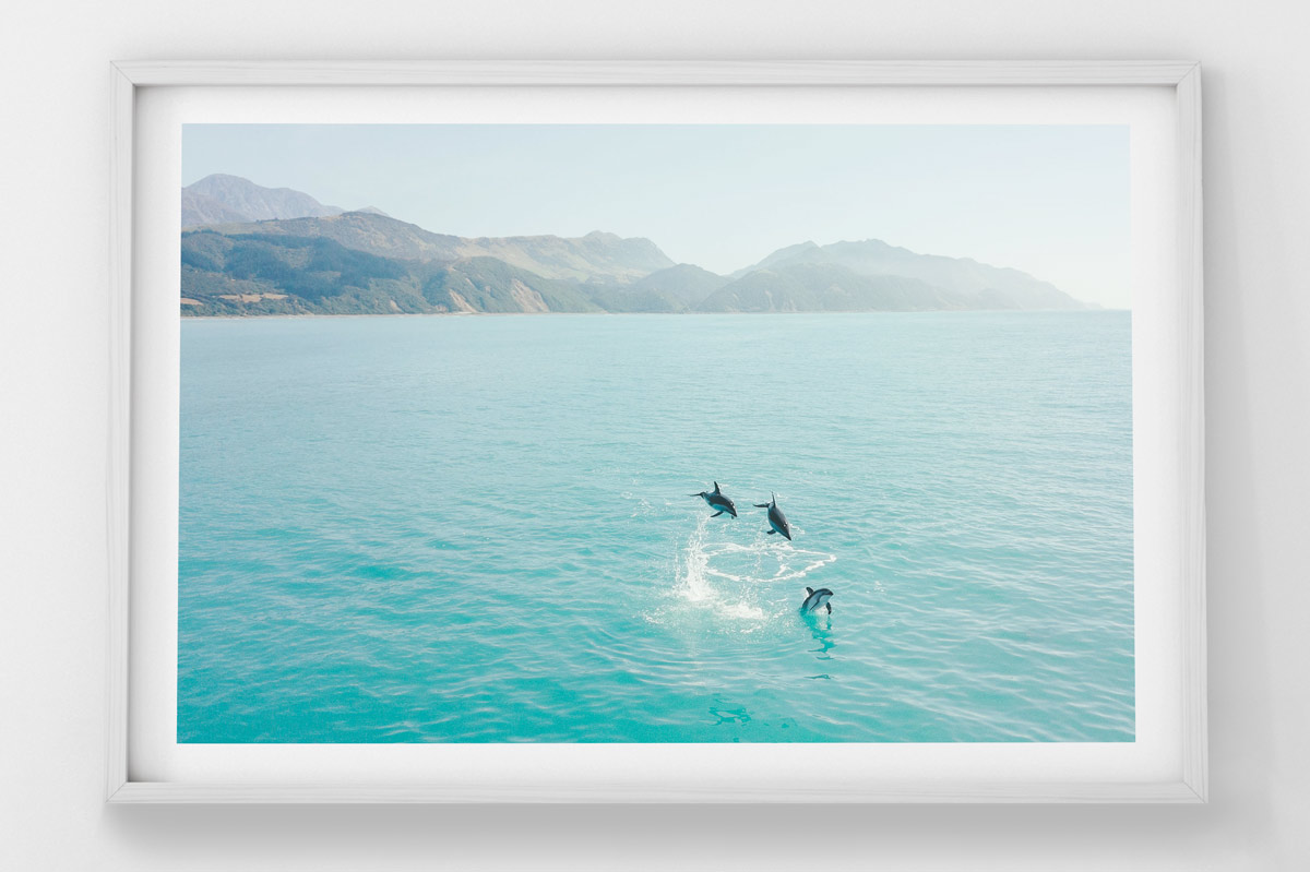 Dolphin Jump - Stefan Haworth Photography Fine Art Prints Queenstown Photographer